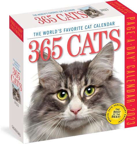 365 Cat Calendar 2023